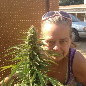 Meet your Posher, Edye